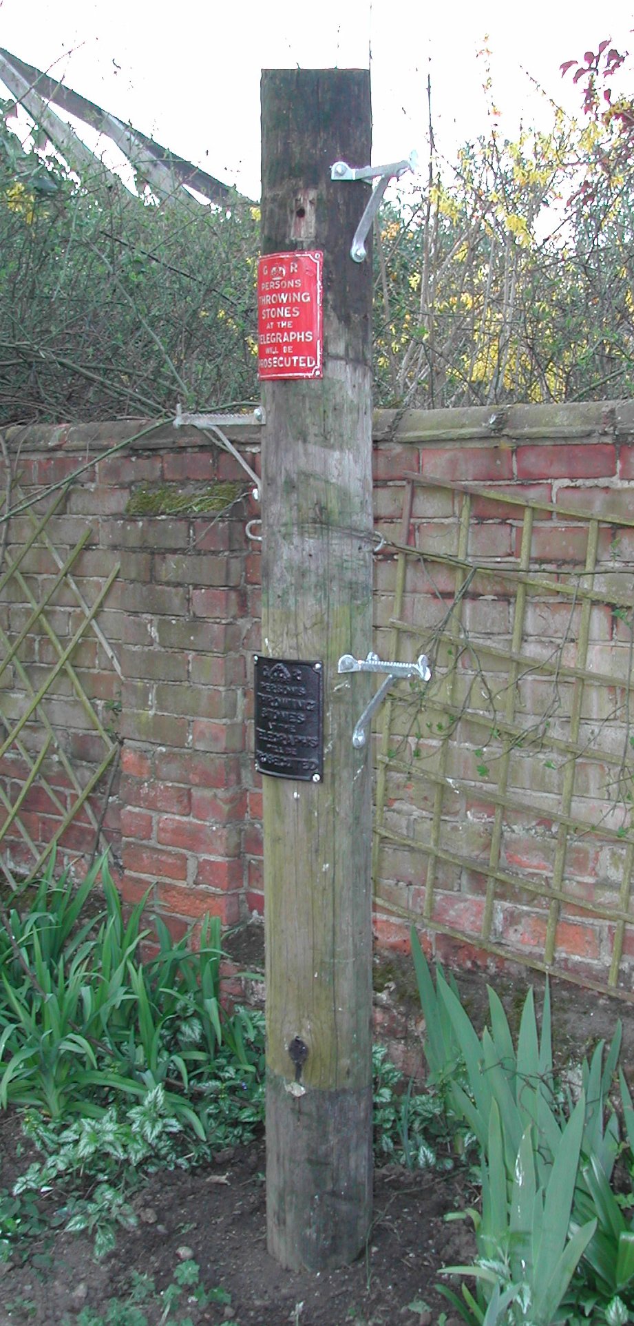 Telegraph pole